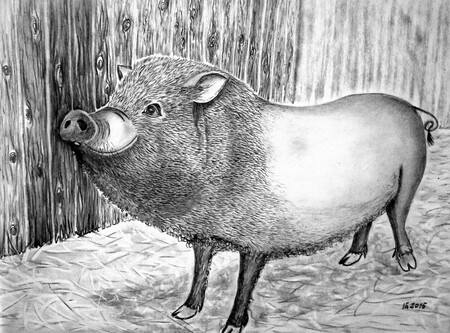 Prijatelj, oglje-papir, 30x40 cm, 2015, Irena Gorenc